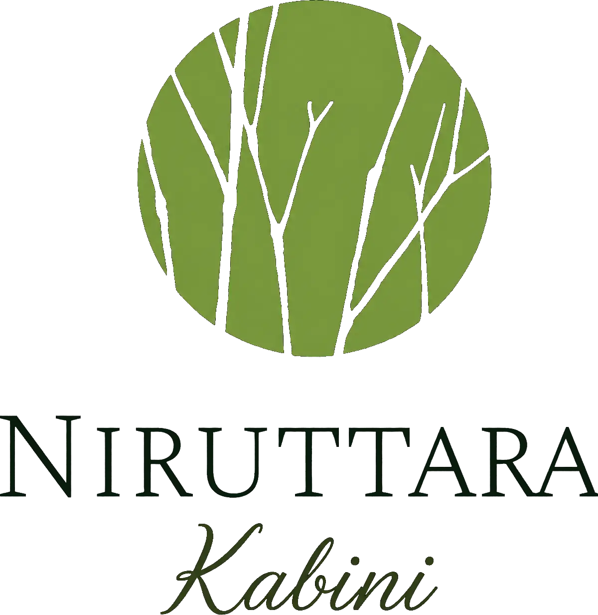 Niruttara-Logo